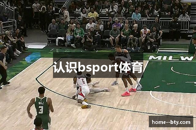 认识bsport体育